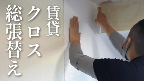 ジークの動画サムネイル（賃貸クロスの張替えの現場密着）